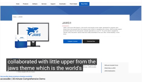 Screenshot from a video that uses accessiBe's automated captions that reads, "…collaborated with little upper from the jaws theme which is the world's…"